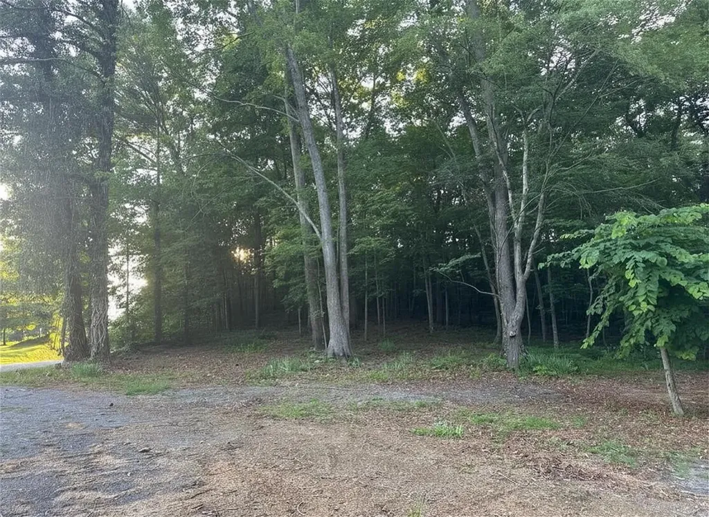 2113 Highway 163 Riceville TN 37370