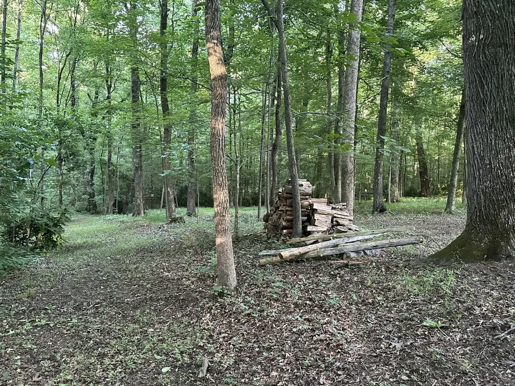 2113 Highway 163 Riceville TN 37370