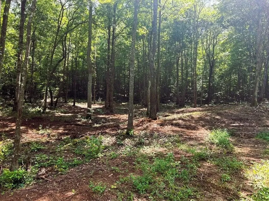 8 Pleasant Hill Road Ten Mile TN 37880