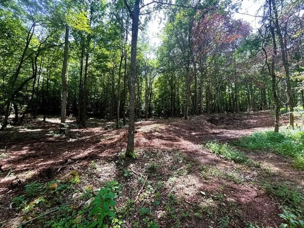 8 Pleasant Hill Road Ten Mile TN 37880