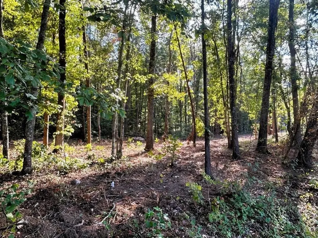 4 Pleasant Hill Road Ten Mile TN 37880