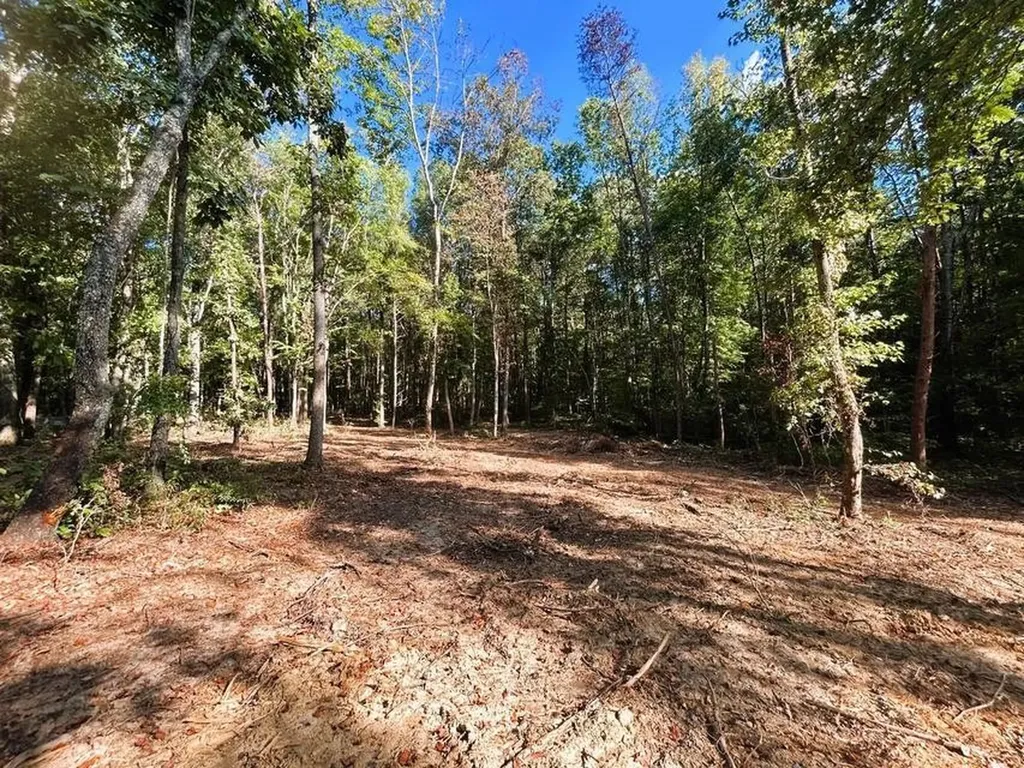 4 Pleasant Hill Road Ten Mile TN 37880