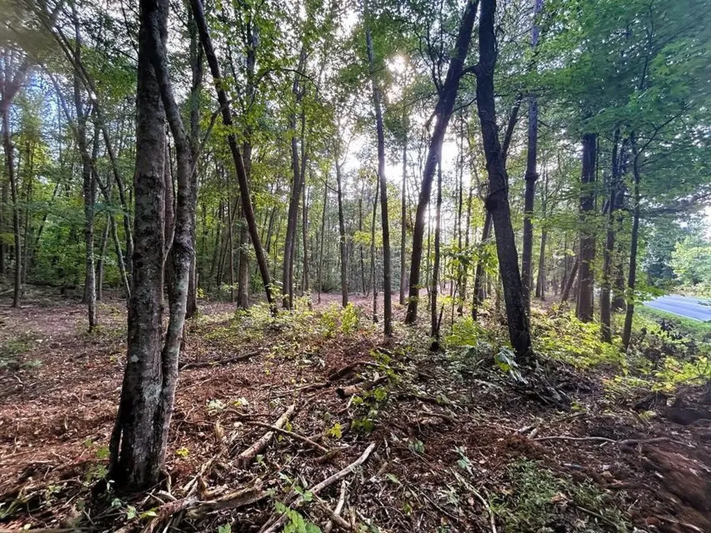 4 Pleasant Hill Road Ten Mile TN 37880