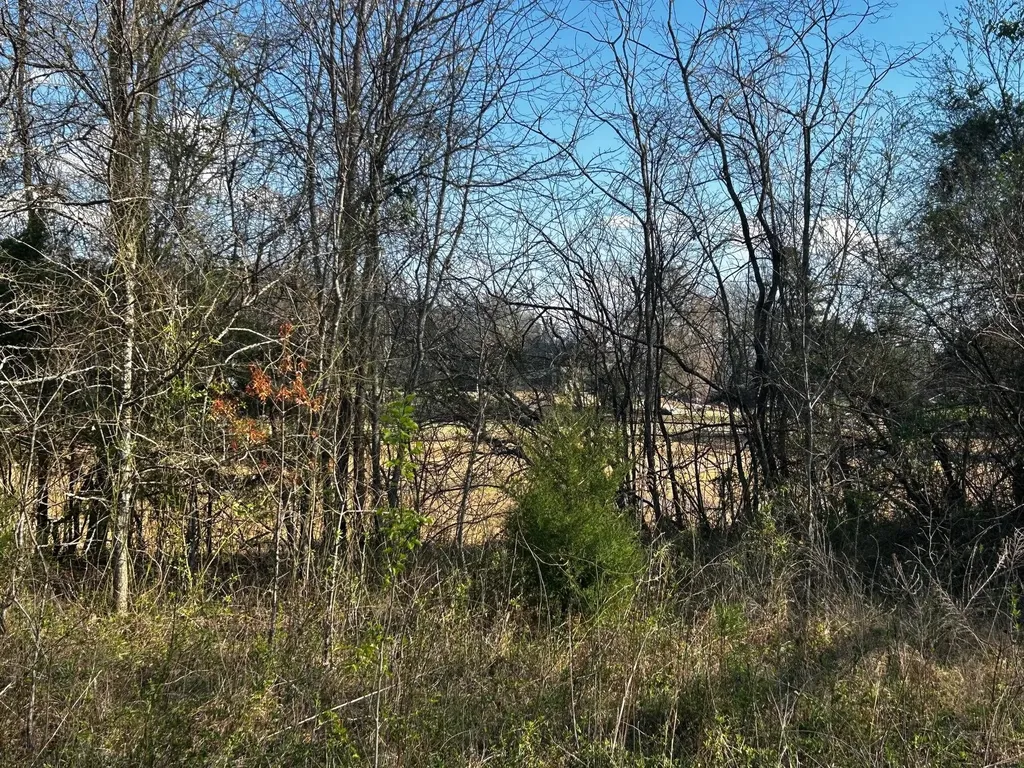 3 Lamontville Road Decatur TN 37322