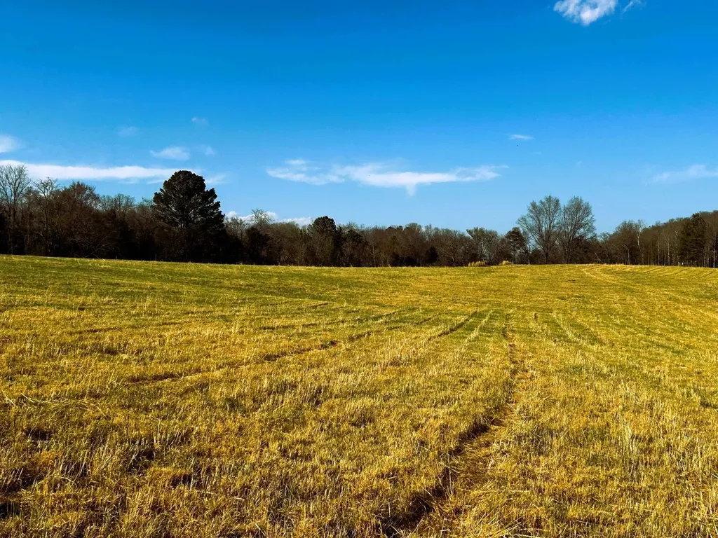 3 Lamontville Road Decatur TN 37322