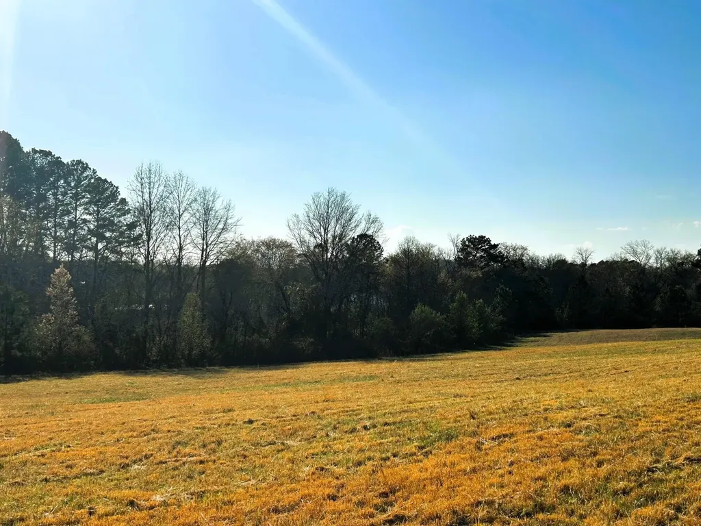 3 Lamontville Road Decatur TN 37322
