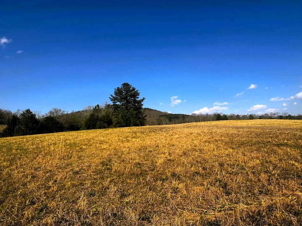 3 Lamontville Road Decatur TN 37322