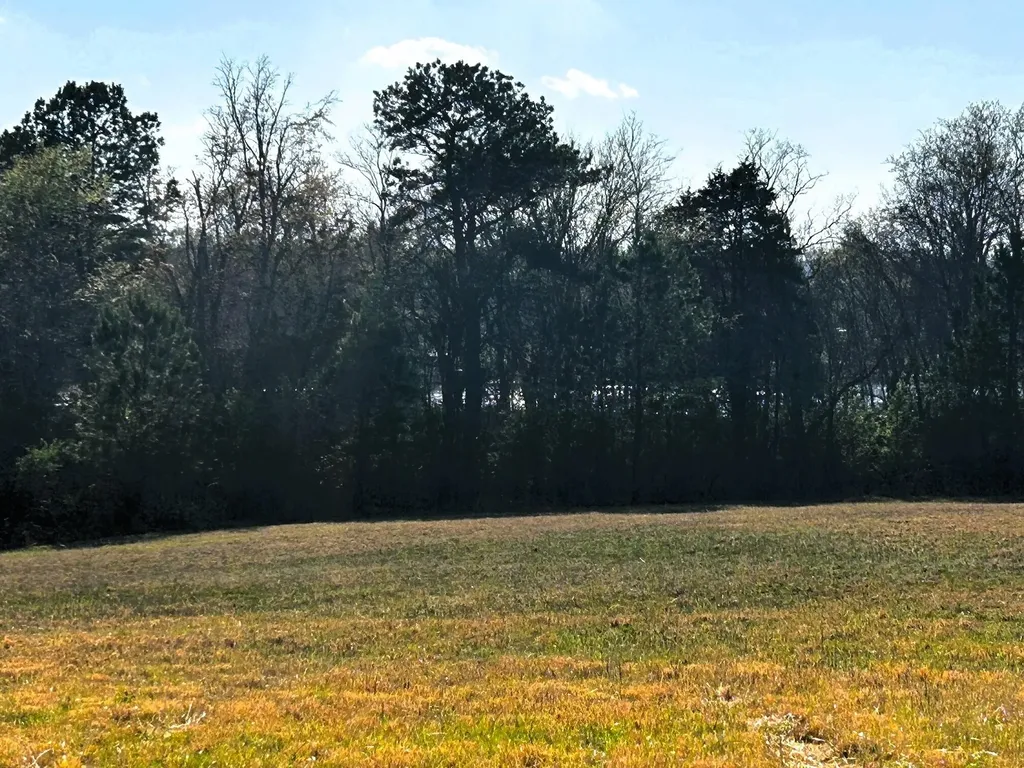 3 Lamontville Road Decatur TN 37322