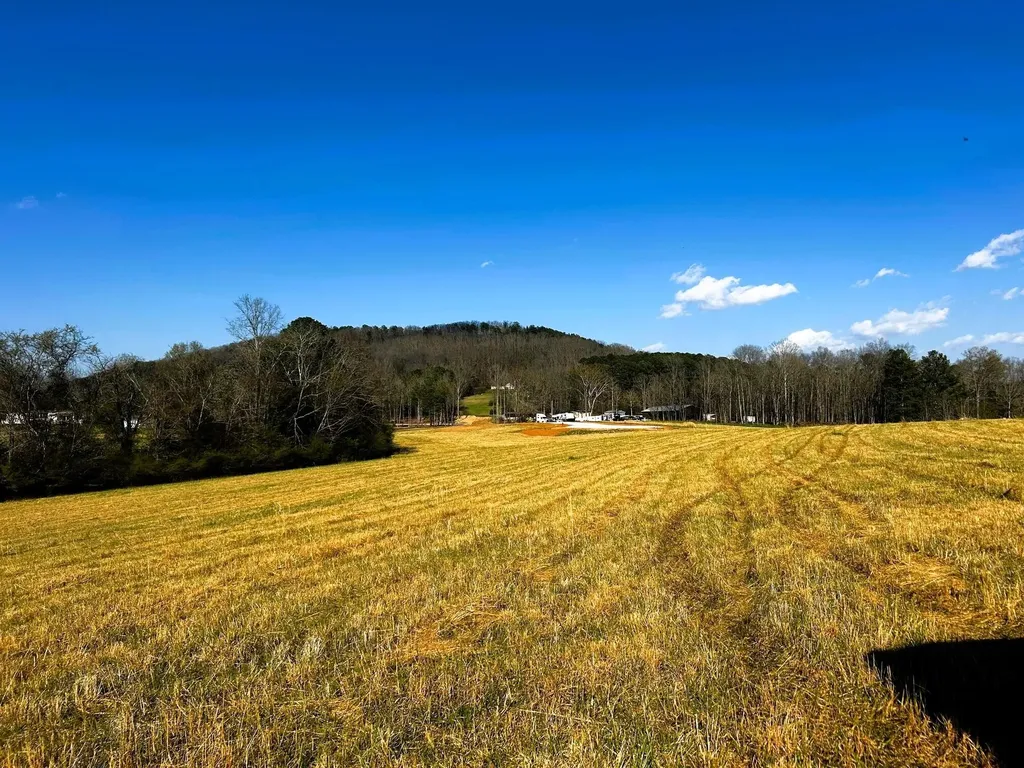 3 Lamontville Road Decatur TN 37322