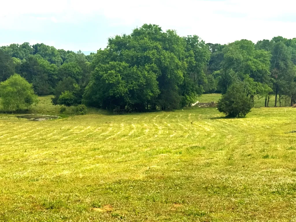175 County Road 571 Englewood TN 37329