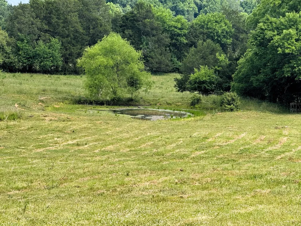 175 County Road 571 Englewood TN 37329