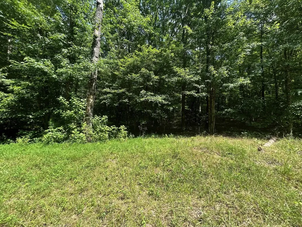 1 Highway 304 Ten Mile TN 37880