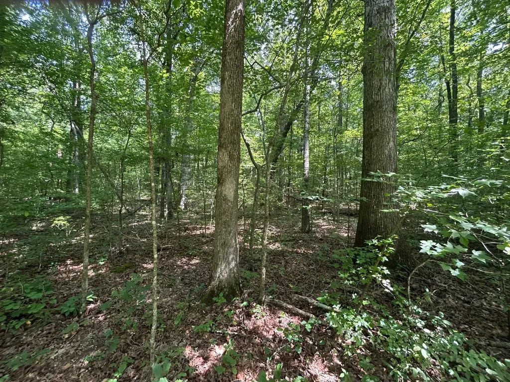 1 Highway 304 Ten Mile TN 37880