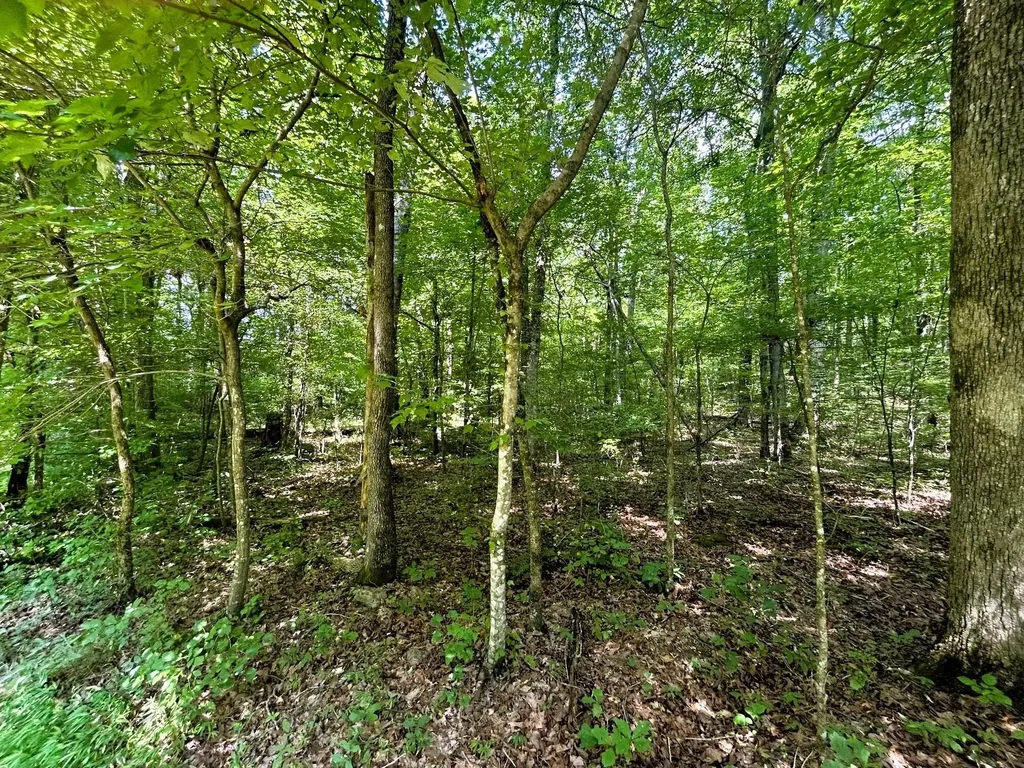 1 Highway 304 Ten Mile TN 37880