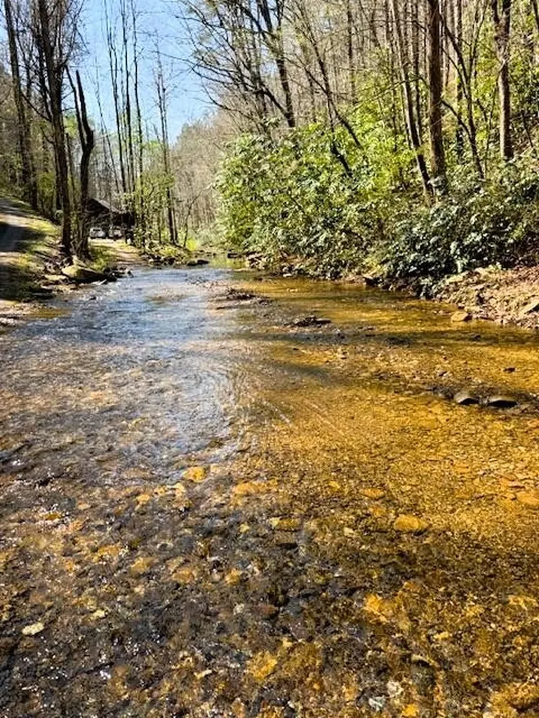 768 Ellis Creek Road Reliance TN 37369
