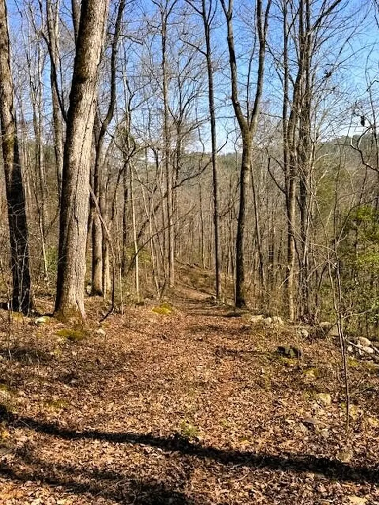 768 Ellis Creek Road Reliance TN 37369