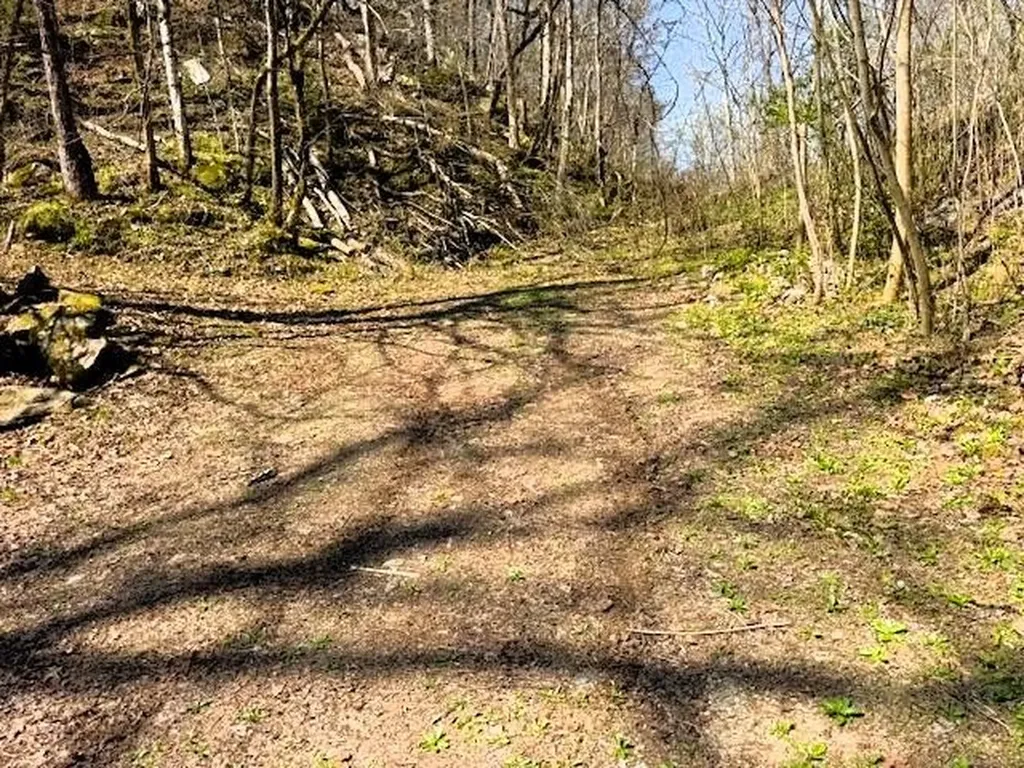 768 Ellis Creek Road Reliance TN 37369