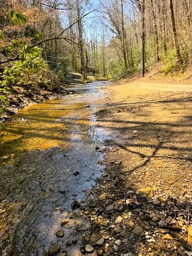 768 Ellis Creek Road Reliance TN 37369