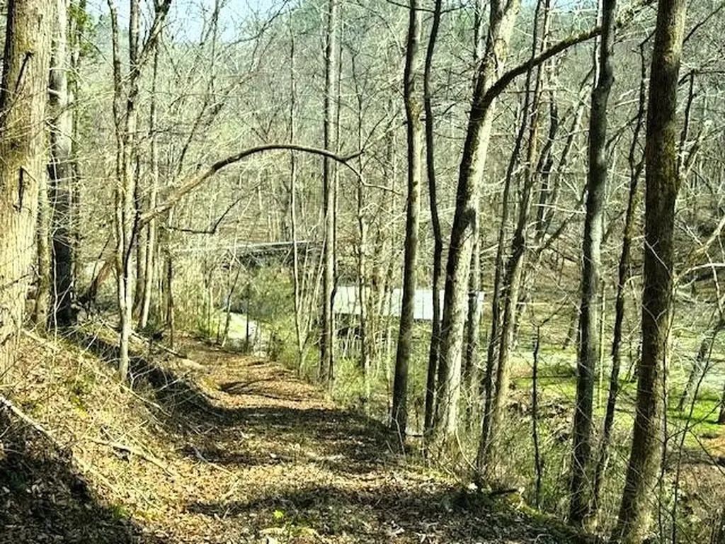 768 Ellis Creek Road Reliance TN 37369