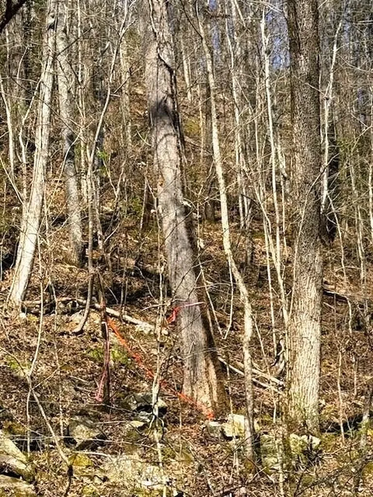 768 Ellis Creek Road Reliance TN 37369