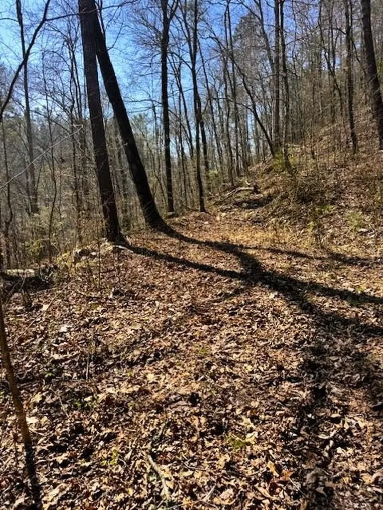 768 Ellis Creek Road Reliance TN 37369