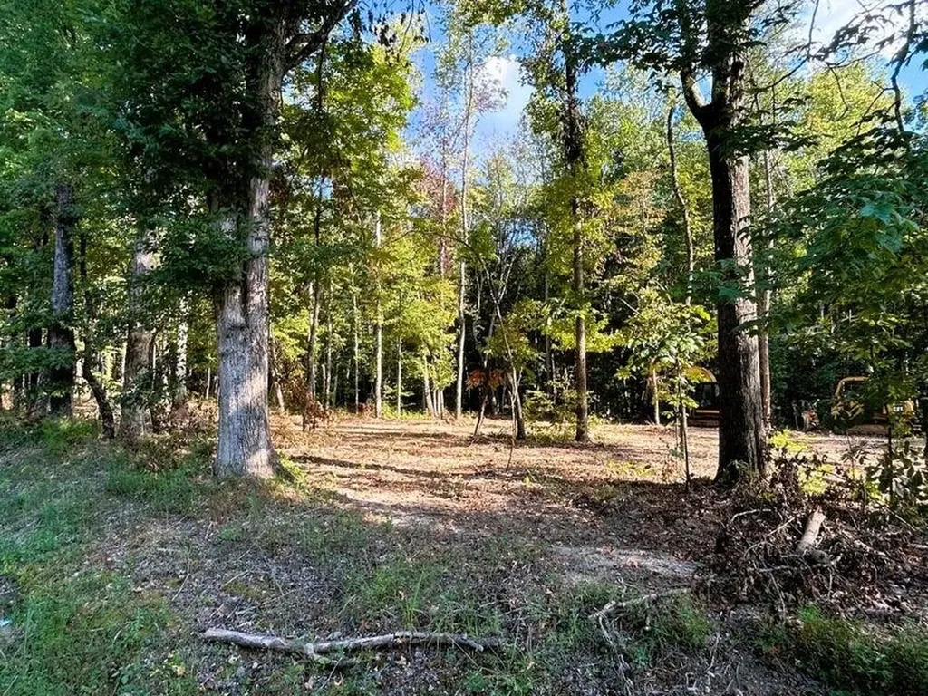 3 Pleasant Hill Road Ten Mile TN 37880