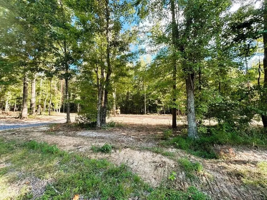 3 Pleasant Hill Road Ten Mile TN 37880