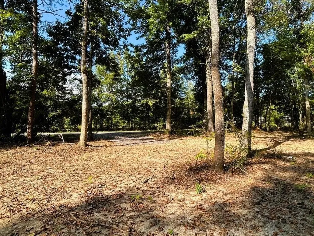 3 Pleasant Hill Road Ten Mile TN 37880