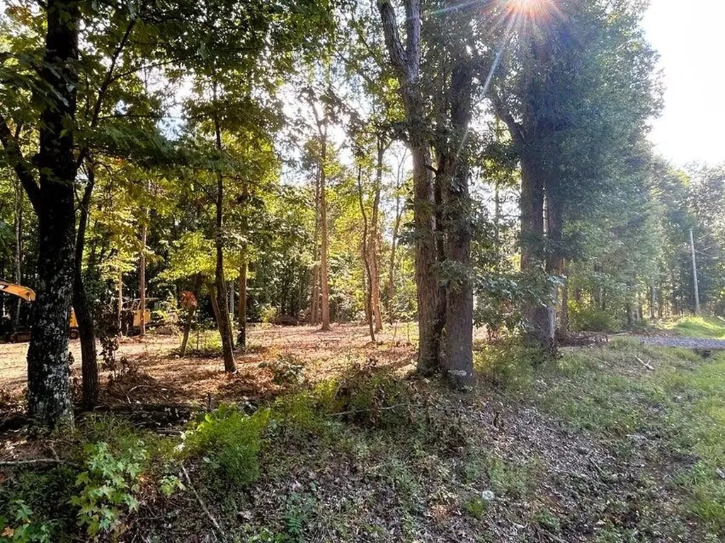 3 Pleasant Hill Road Ten Mile TN 37880
