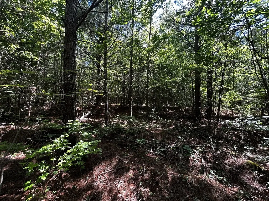 34 State Highway 304 Ten Mile TN 37880