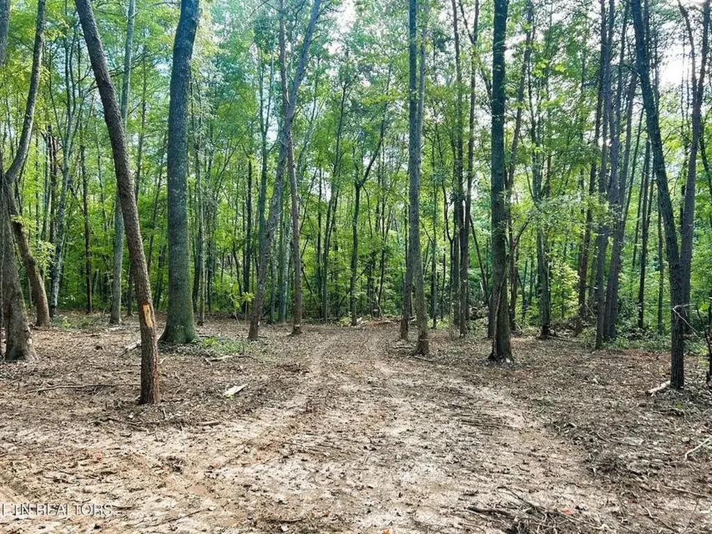 5 Pleasant Hill Road Ten Mile TN 37880