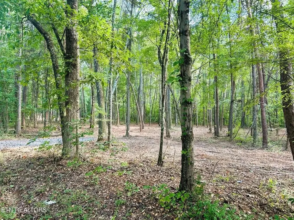 5 Pleasant Hill Road Ten Mile TN 37880