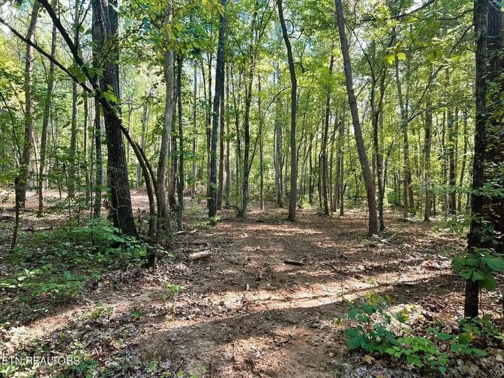 5 Pleasant Hill Road Ten Mile TN 37880