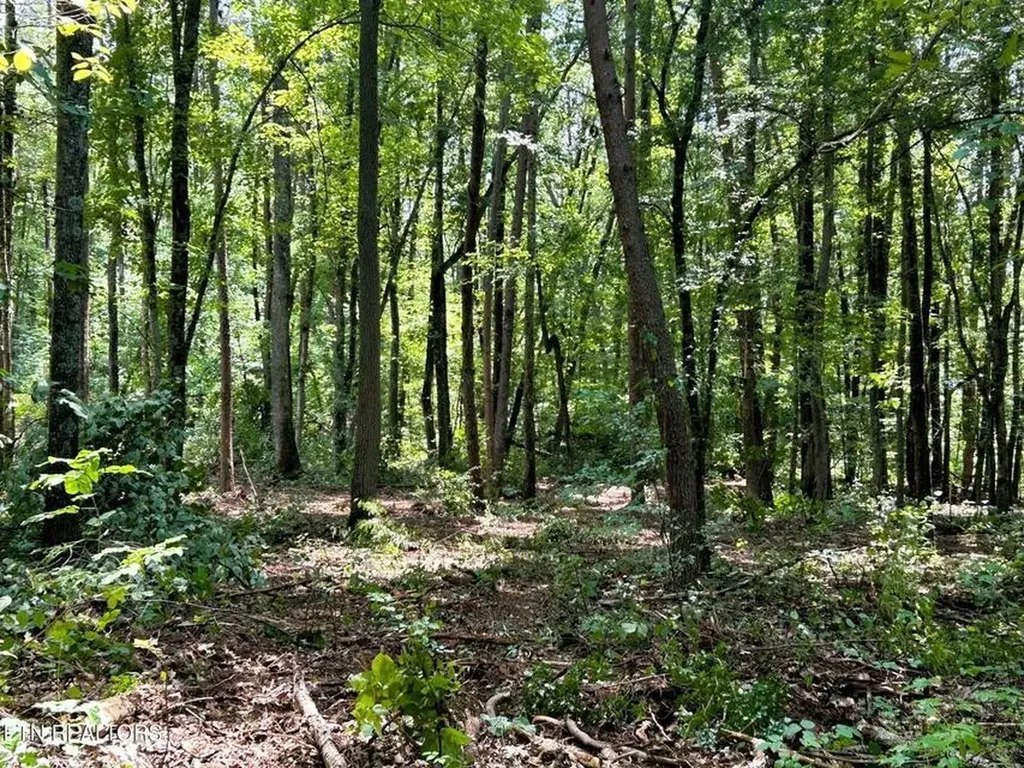 5 Pleasant Hill Road Ten Mile TN 37880