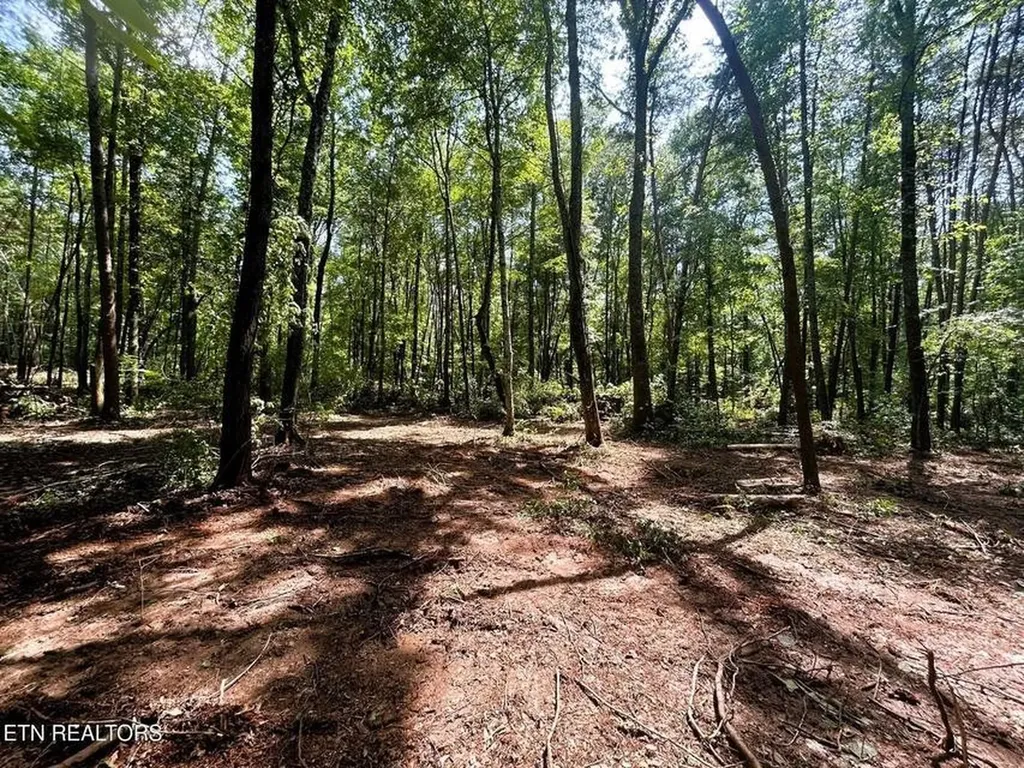 5 Pleasant Hill Road Ten Mile TN 37880