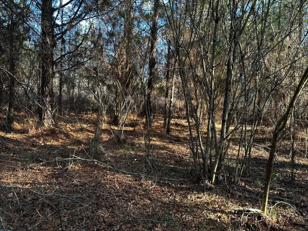 27 Charles Road Decatur TN 37322
