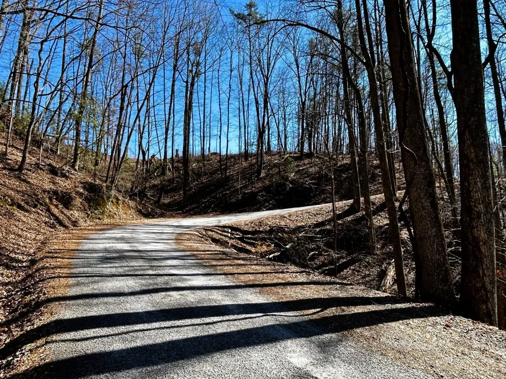 107125 Chestnut Mountain Road Reliance TN 37369