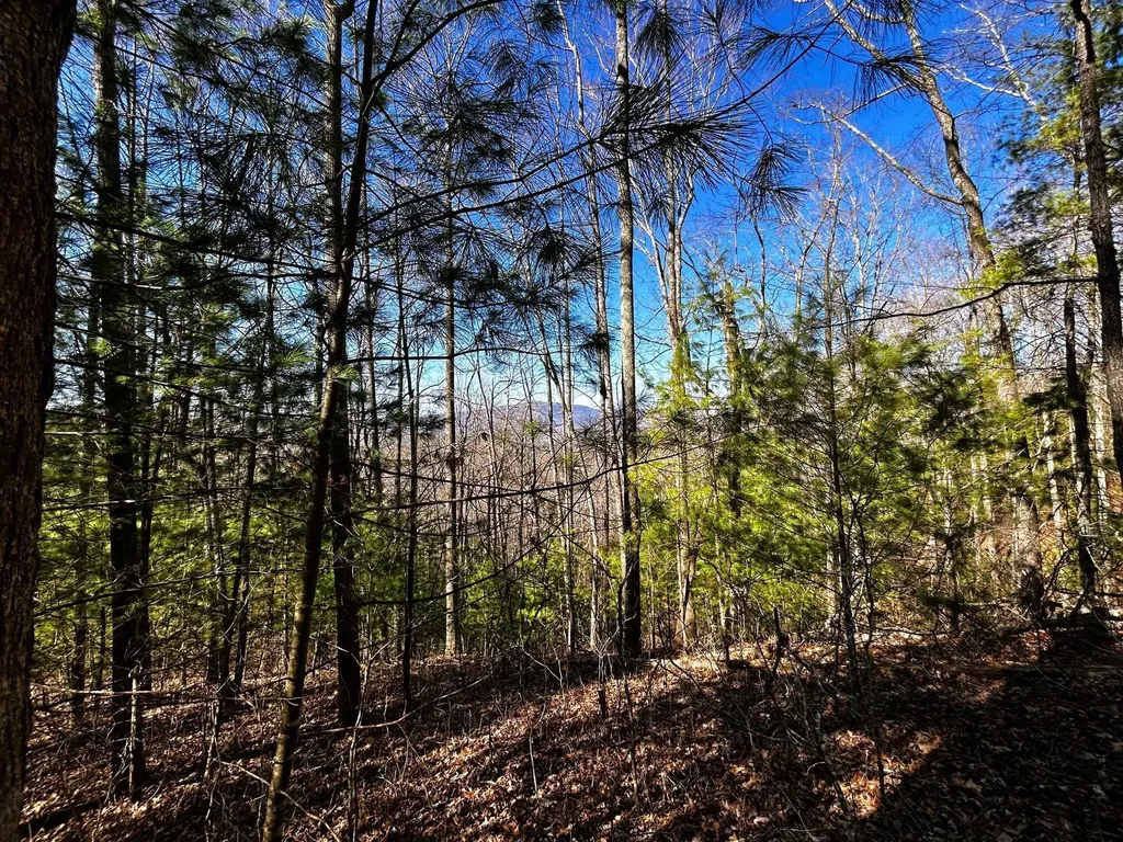 107125 Chestnut Mountain Road Reliance TN 37369