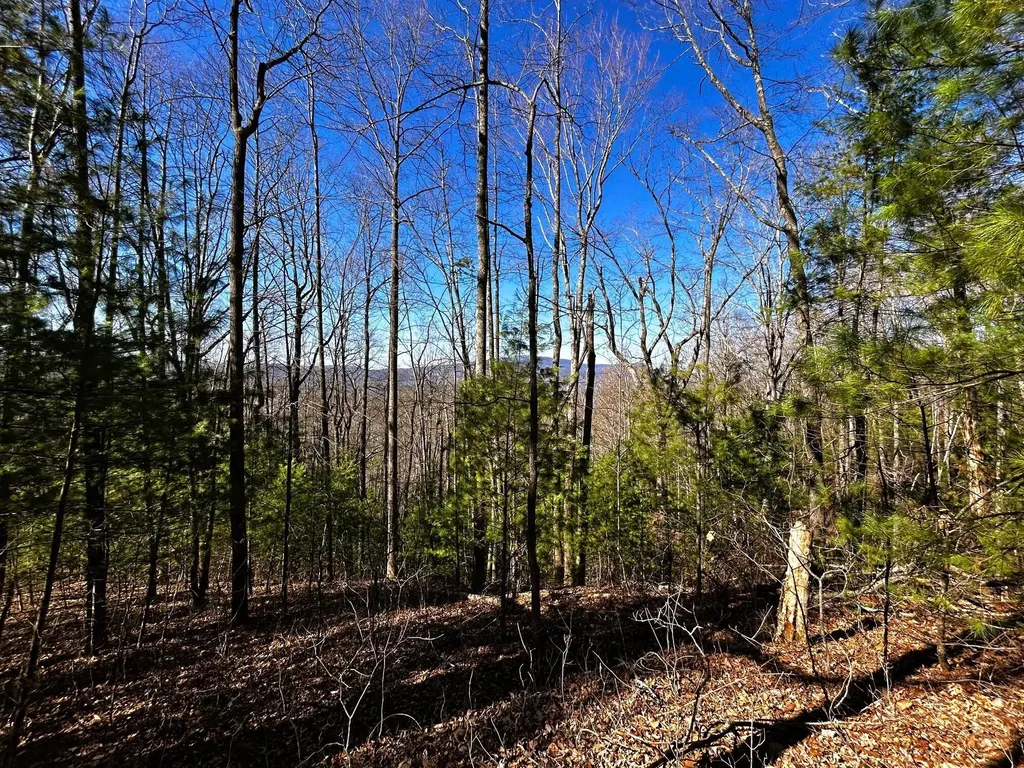 107125 Chestnut Mountain Road Reliance TN 37369