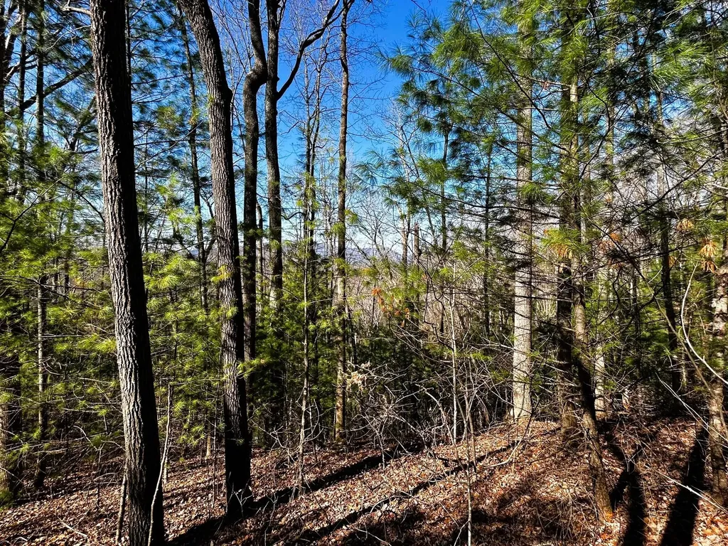 107125 Chestnut Mountain Road Reliance TN 37369