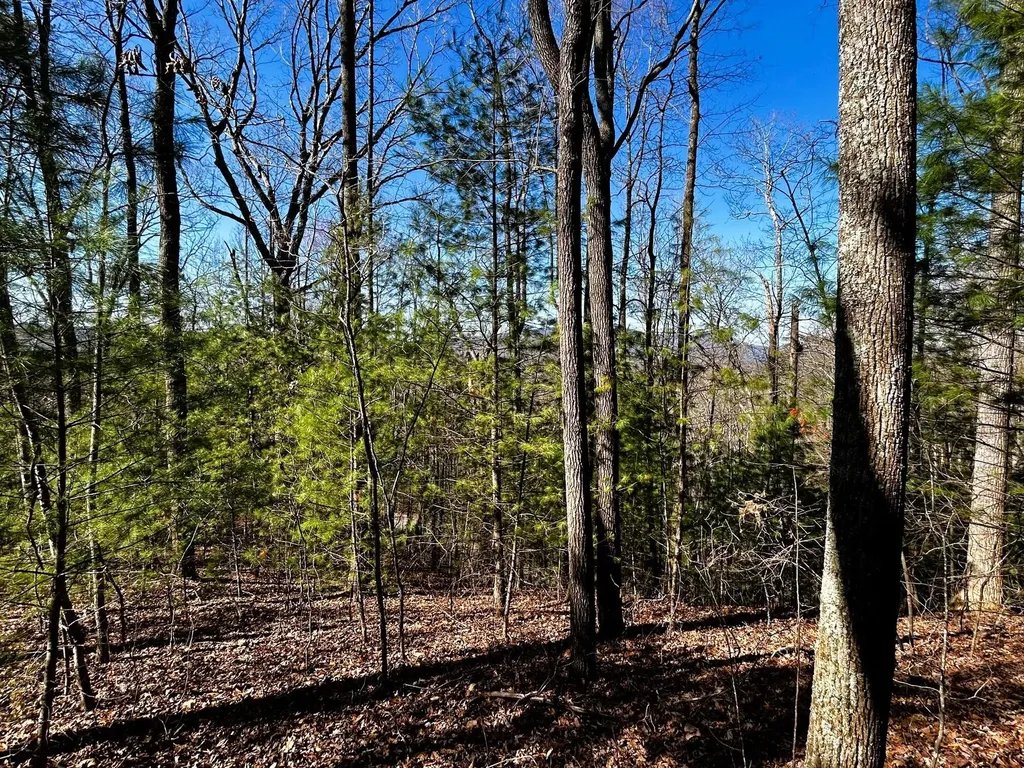 107125 Chestnut Mountain Road Reliance TN 37369