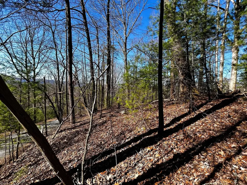 107125 Chestnut Mountain Road Reliance TN 37369