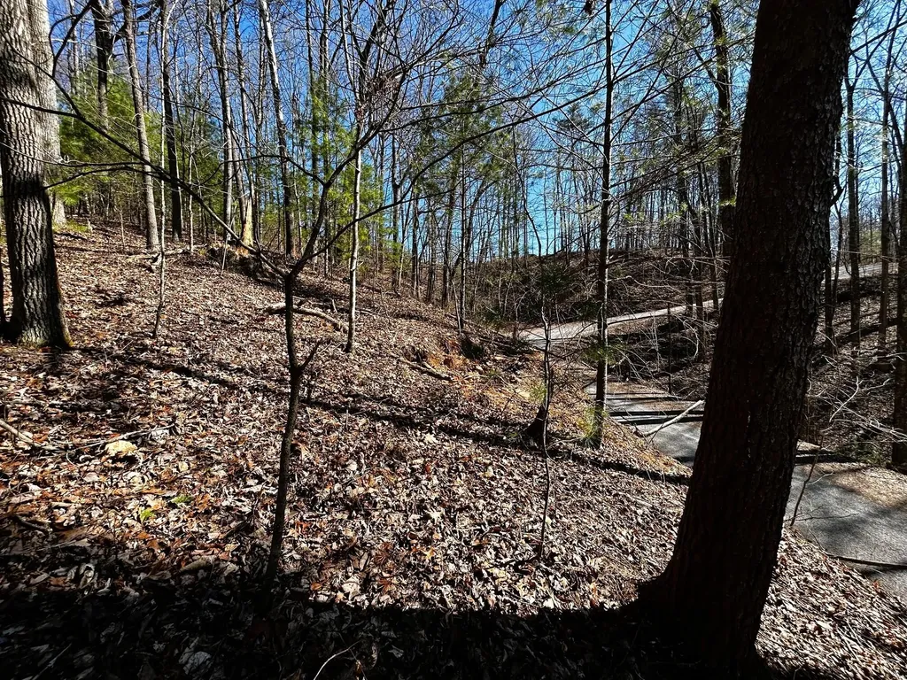 107125 Chestnut Mountain Road Reliance TN 37369