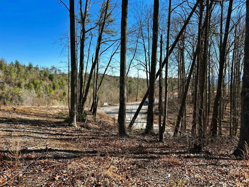 107125 Chestnut Mountain Road Reliance TN 37369