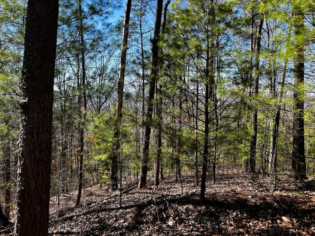 107125 Chestnut Mountain Road Reliance TN 37369