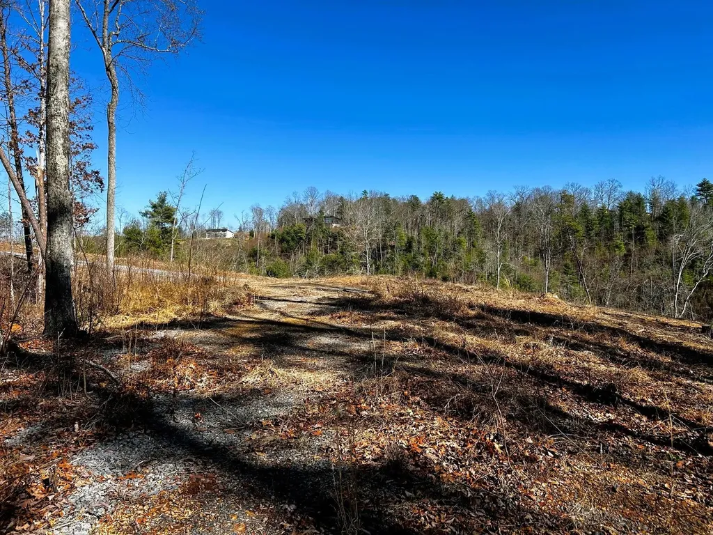 107125 Chestnut Mountain Road Reliance TN 37369