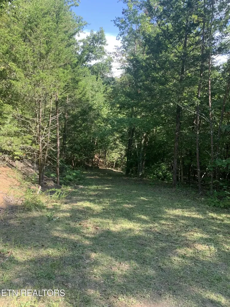 0 Vera Lane Dandridge TN 37725