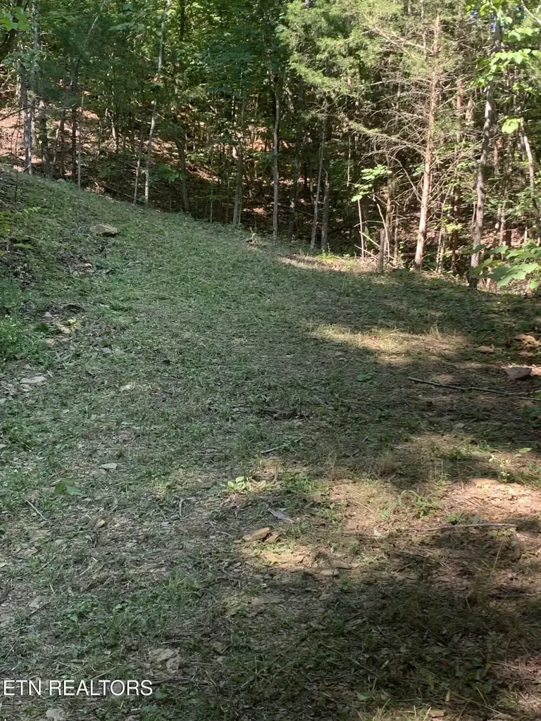 0 Vera Lane Dandridge TN 37725