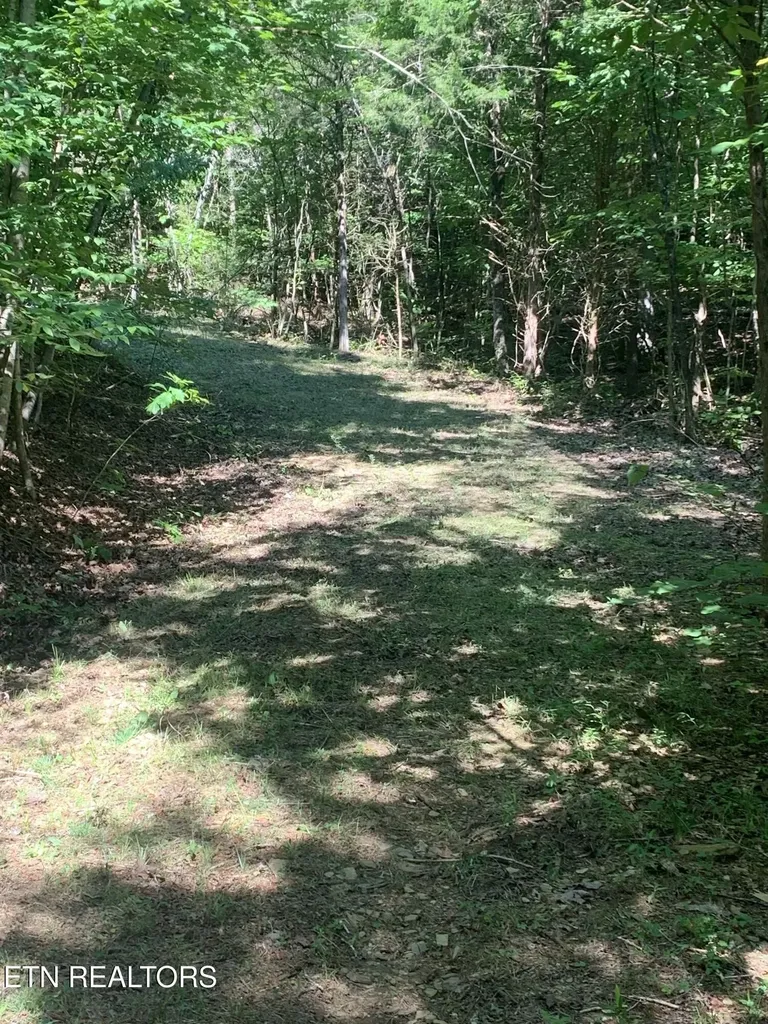 0 Vera Lane Dandridge TN 37725