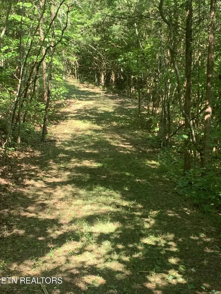 0 Vera Lane Dandridge TN 37725